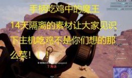 呆瓜吃鸡的视频