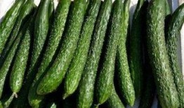 吃红红瓜减肥吗,天然美味助你轻松瘦身