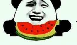 吃瓜群众何不换种