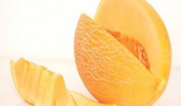 吃草莓了可以吃哈密瓜吗,哈密瓜的甜蜜续篇