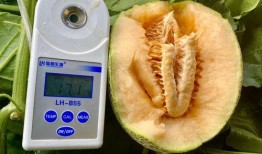 最新吃瓜系列大全,盘点娱乐圈、网红圈、社会热点中的那些事儿