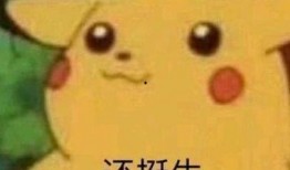 大佬文吃瓜头像,揭秘大佬文吃瓜头像背后的故事