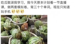 421吃瓜事件,揭秘网络舆论的风云变幻