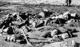 沂南吃瓜事件始末,一场网络热议背后的真相与反思