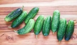 吃瓜唐十八13,探寻唐朝宫廷的神秘瓜果传奇