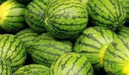 意大利围观吃瓜视频,围观吃瓜成风，揭秘意大利的独特社交现象