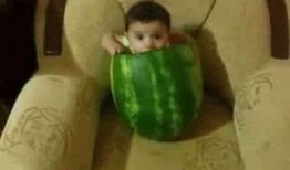 赞美吃瓜的笑话