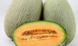 月子吃哈密瓜危害,月子期间食用哈密瓜的潜在风险与注意事项