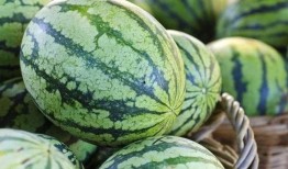 吃瓜视频怎么收藏不了,为何收藏功能失效？