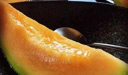 韩日来中国吃瓜,共品瓜果盛宴