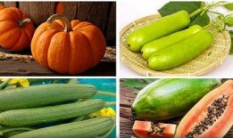 立秋吃瓜苏州,苏州瓜果飘香，品味传统美食文化