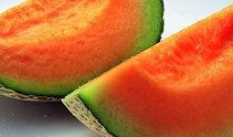 吃催熟哈密瓜,口感与健康的双重享受