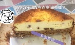 黑白视频吃瓜