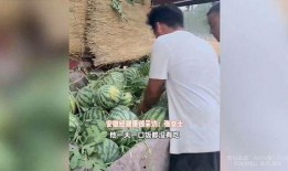 老公种瓜老婆吃瓜视频,夫妻共享种瓜成果，温馨视频传递家庭幸福