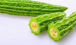 小朋友地里吃瓜,小农夫地里吃瓜记