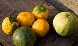 小孩吃生瓜好吗怎么吃,儿童食用生瓜的适宜方法与注意事项