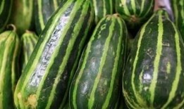 吃梢瓜利尿吗,天然利尿佳品，轻松缓解水肿困扰”