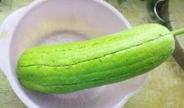 水瓜可以晒干吃么,传统美食的保存与美味延续