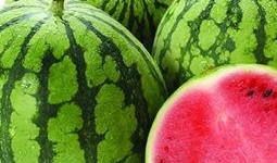 孕妇吃瓜尖好吗,孕妇吃瓜尖的利与弊