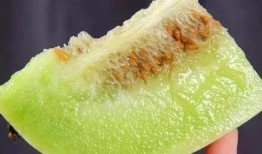 玉脆瓜是水晶瓜嘛怎么吃,水晶瓜的味蕾盛宴，这样吃更美味