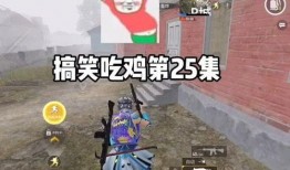 吃鸡视频瓜,揭秘热门游戏背后的精彩故事