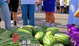 吃瓜学校版,揭秘校园里的那些“瓜”