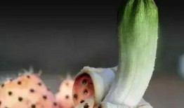 炸裂的小白瓜怎么吃,创意美食新体验