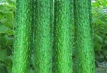 吃瓜怎么搭配,缤纷搭配，清凉一夏