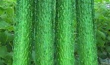 吃瓜怎么搭配,缤纷搭配，清凉一夏