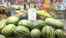 天猫吃瓜节,瓜界狂欢，购物盛宴一网打尽