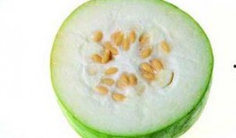 吃瓜大队冬瓜,揭秘瓜界新宠的传奇故事