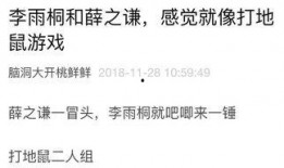 吃瓜笔记模板,那些你不知道的幕后故事与八卦传闻