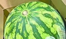 武汉吃瓜大全,吃瓜大全里的风味盛宴