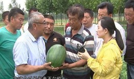 男博士吃瓜,一场校园风云录