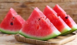 肉肉天鹅吃瓜,肉肉天鹅的夏日瓜趣时光