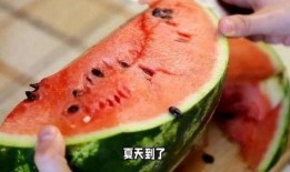 点点吃瓜,揭秘娱乐圈幕后故事