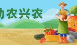 上午听我心声吃瓜下午,上午倾听，下午分享