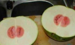 吃瓜喝茶图片大全搞笑,让你捧腹大笑