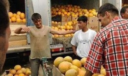 身在吃瓜一线,揭秘娱乐圈幕后风云