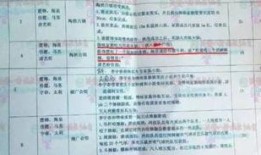 济南剧本杀吃瓜,一场吃瓜群众的狂欢揭秘