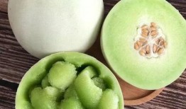 玉菇瓜能怎么吃