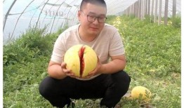 吃瓜网友小姜,吃瓜网友小姜带你揭秘娱乐圈那些事儿