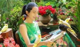 吃瓜在仙境小说,奇幻之旅的甜蜜冒险