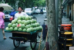 路边吃瓜被判刑