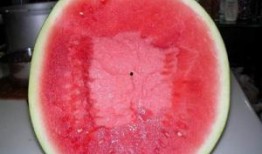 宝丰吃瓜,揭秘当地特色美食背后的故事