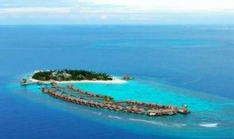 看度假岛吃瓜,一场味蕾与心灵的旅行