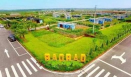 吃瓜群田心三水,吃瓜群里的欢乐时光