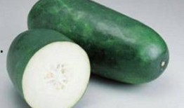 苳瓜怎么吃,探索健康美味的烹饪之道