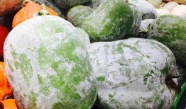 吃梢瓜利尿吗,天然利尿佳品，轻松缓解水肿困扰”