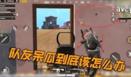 呆瓜吃鸡的视频